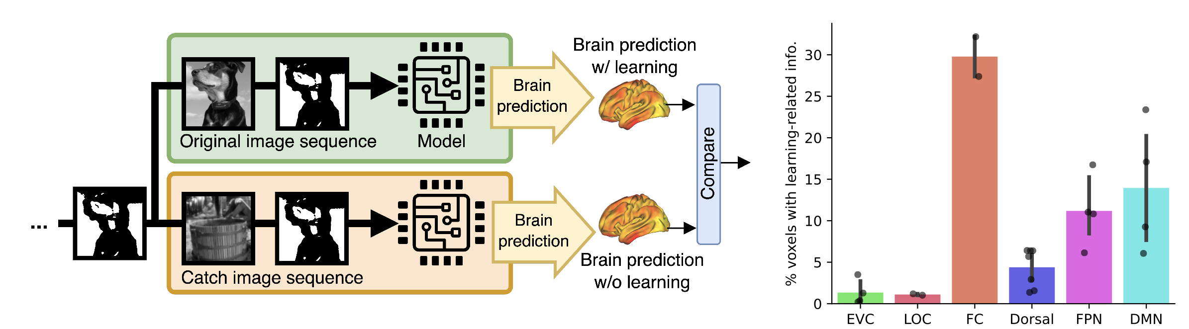 Neural and Computational Mechanisms Underlying One-shot Perceptual Learning in Humans
